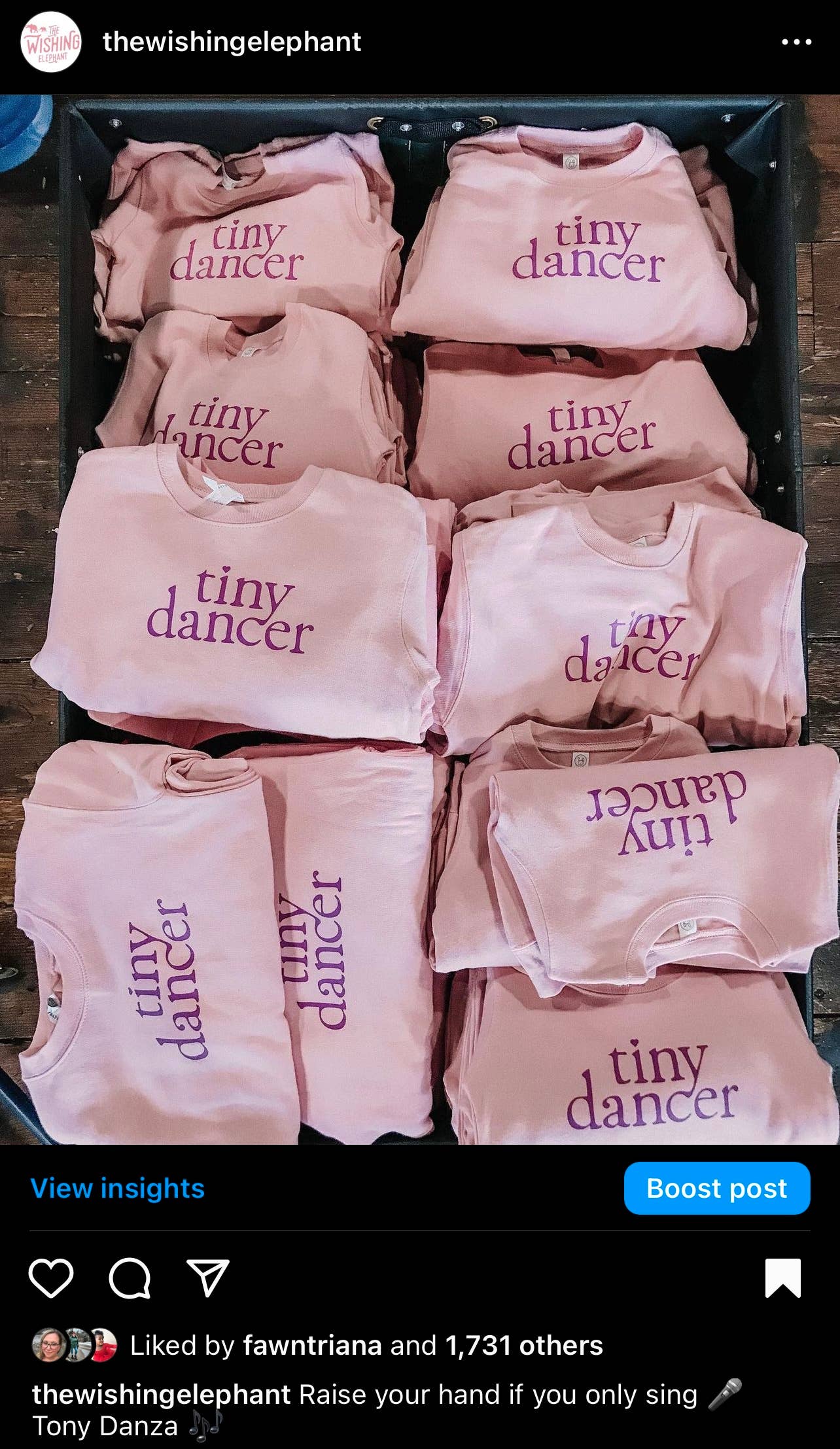 Tiny Dancer Pullover